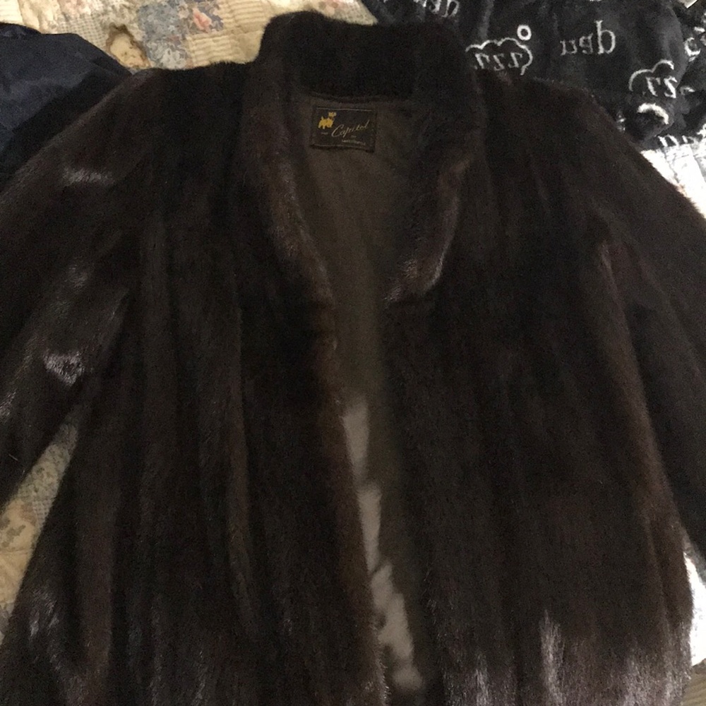 Capitol of Fayetteville Fur cout